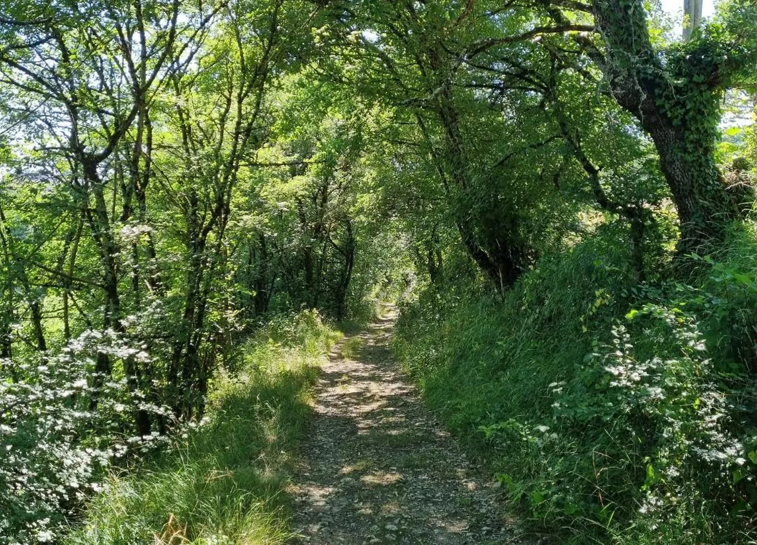 Belvert Parisot Parisot  0*, Parisot (Tarn-et-Garonne) 프랑스
